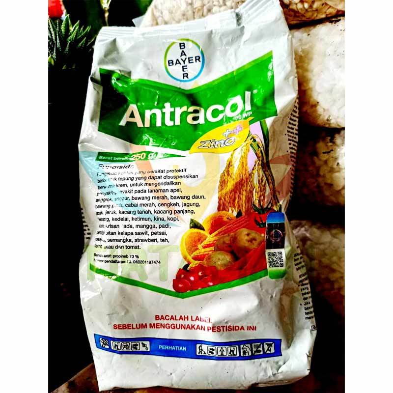 Jual Fungisida Antracol 250 Gr Murah Mei 2021 Blibli