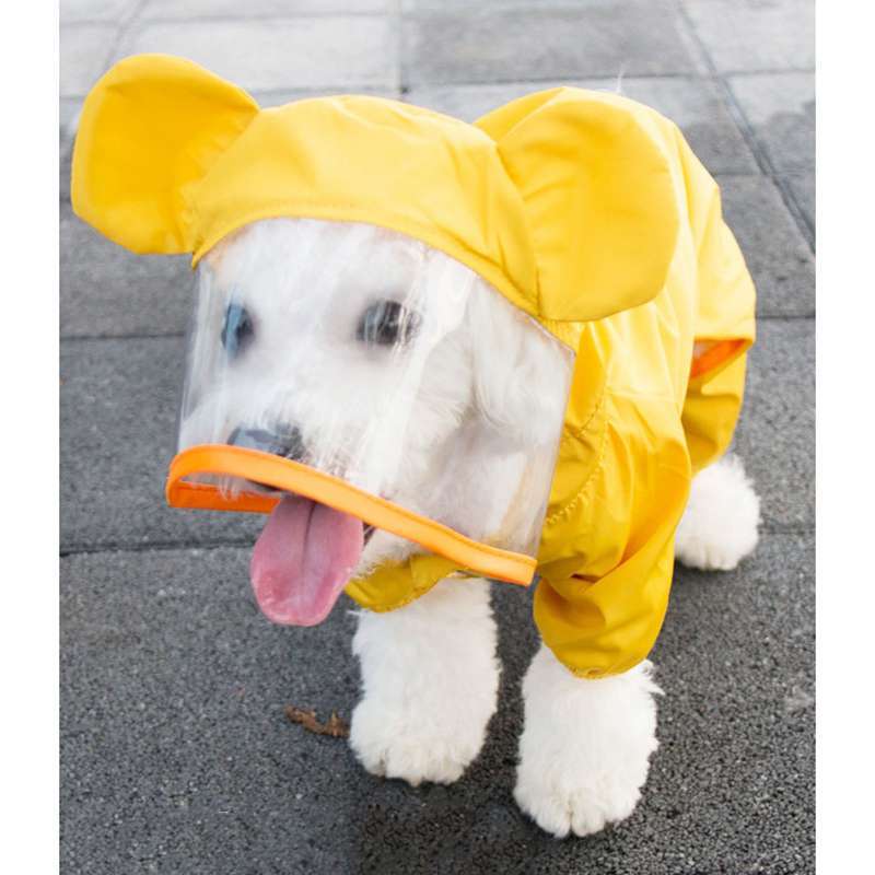 dogs waterproof coat