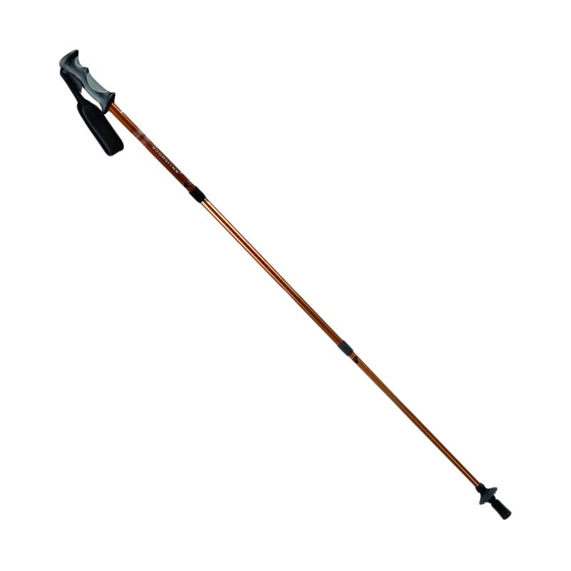 eiger trekking pole