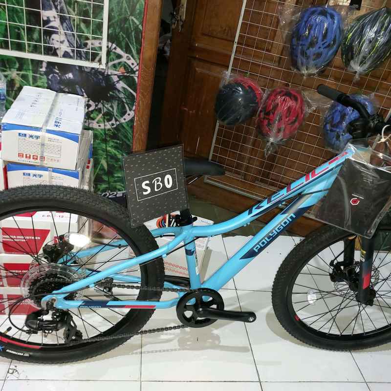 Harga polygon relic 24 online