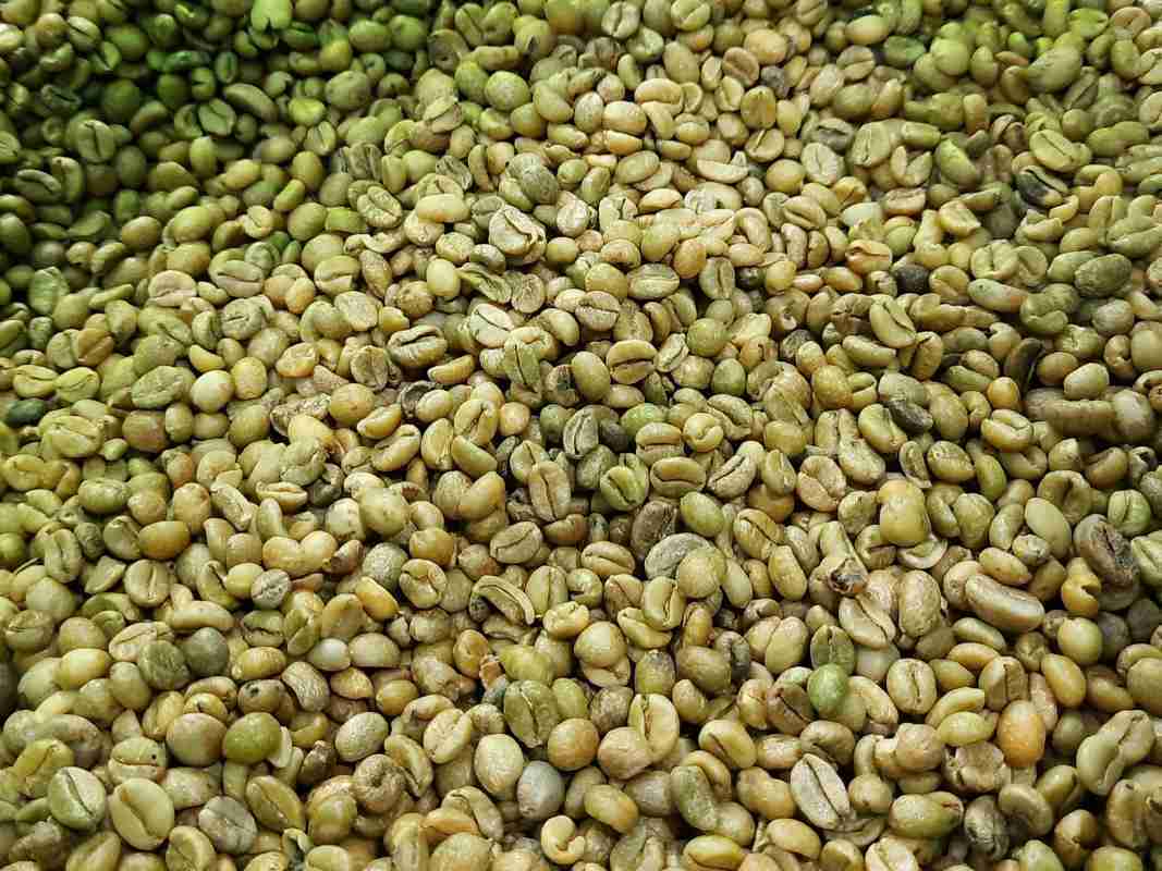 Green bean kopi best sale