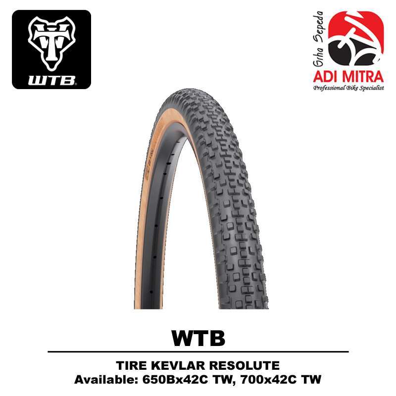Wtb resolute 650b 2025 x 42c