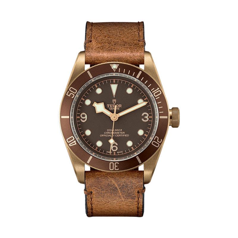 Jual Tudor Black Bay Bronze Swiss Dive Watch M79250BM 0001 Jam