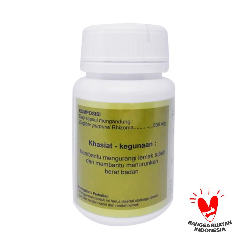 Jual Dr Liza Bangle Pelangsing Penurun Berat Badan Kapsul Herbal Online November 2020 Blibli Com