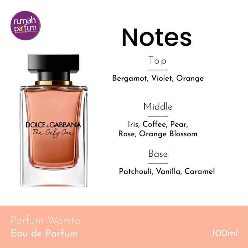 Dolce gabbana the hotsell only one notes
