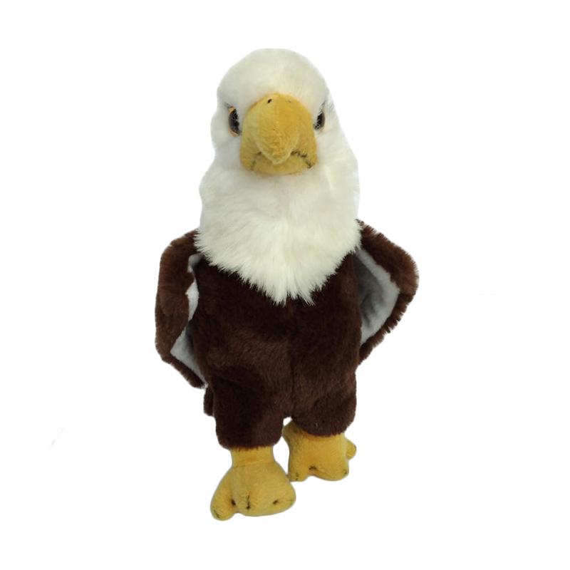 4400 Koleksi Gambar Burung Rajawali Jpg Gratis Terbaik