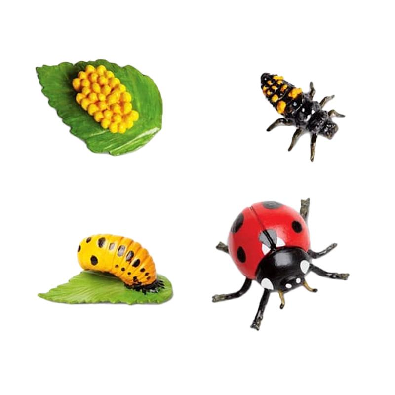 Jual Safari Ltd Life Cycle Of Lady Bug Set Mini Figures Online Januari 2021 Blibli