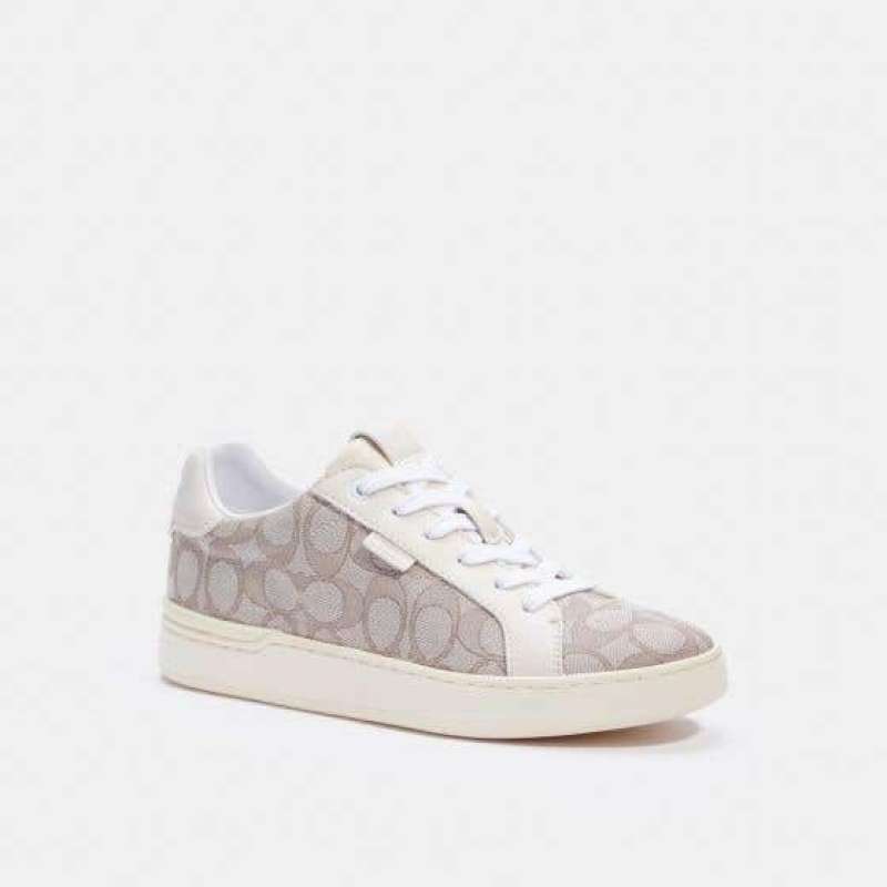 tabby coach 18