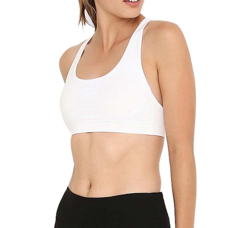 jual sport bra