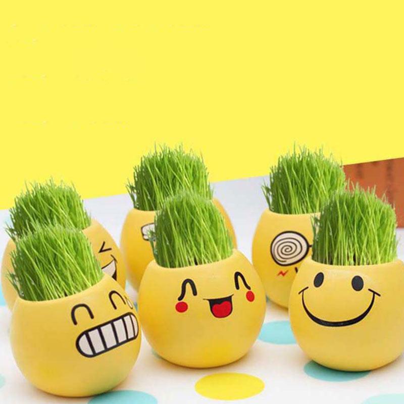 Jual Indoshare Ekspresi Pot Tanaman Hidroponik Online Juli 2020