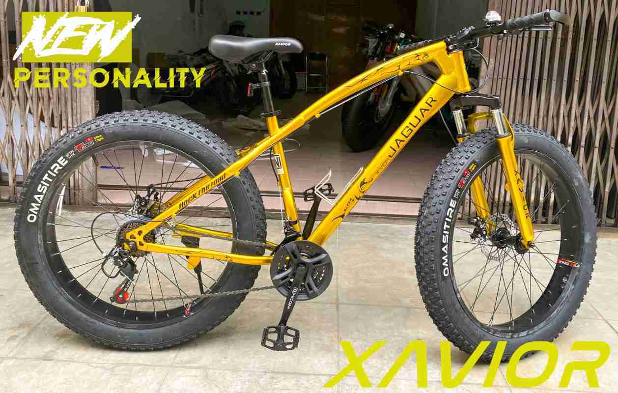 Sepeda fat bike price online