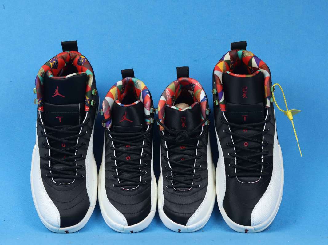 jordan 12 basketball