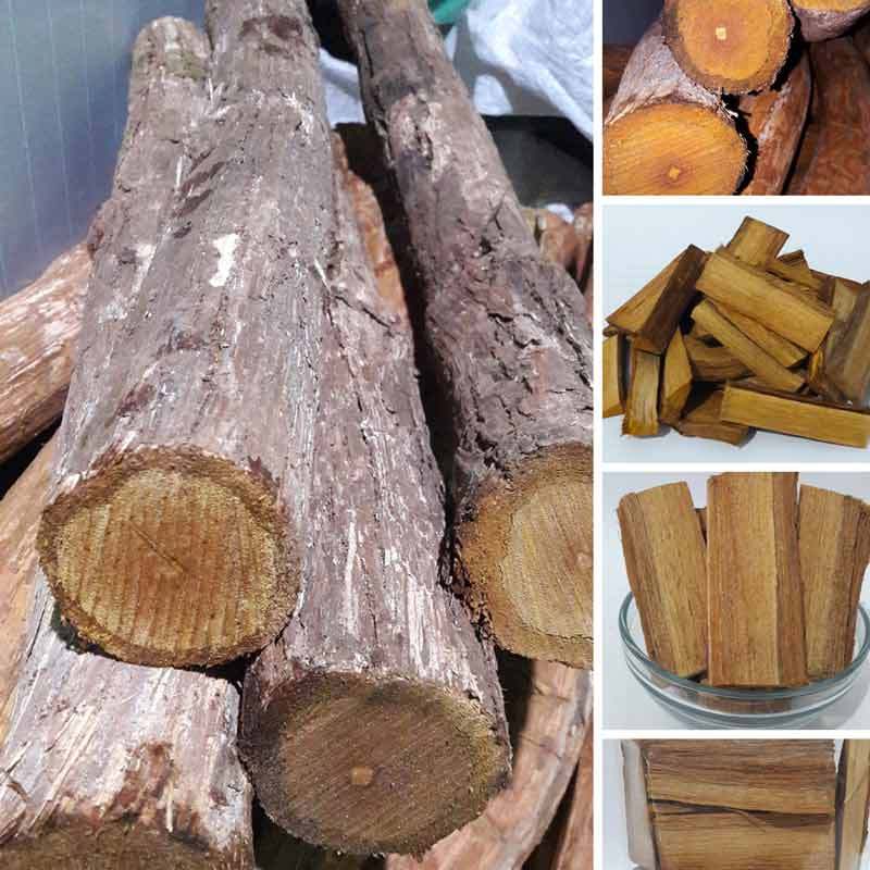Jual Kayu Bajakah Akar Bajakah Bajakah Wood Obat Kanker Obat Tumor Online Oktober 2020 Blibli Com