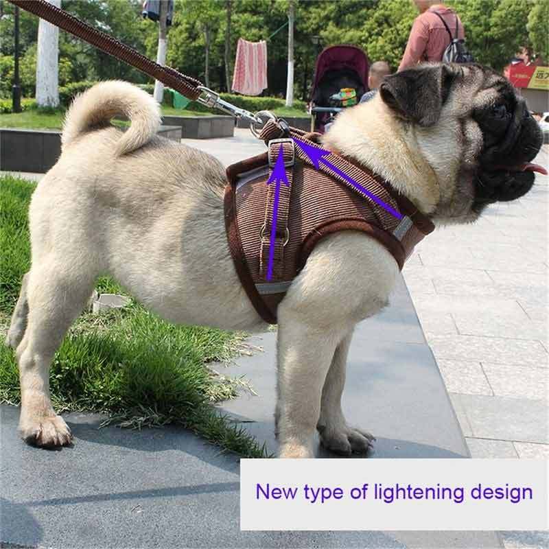 Ikea online dog harness