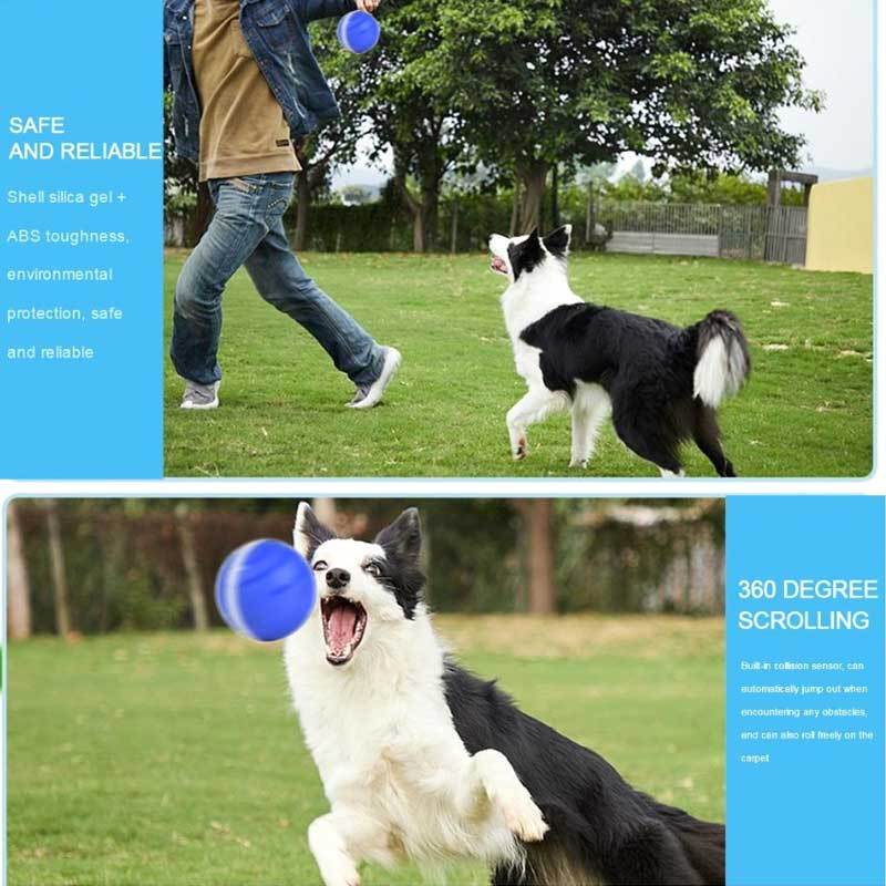 active rolling ball dogs