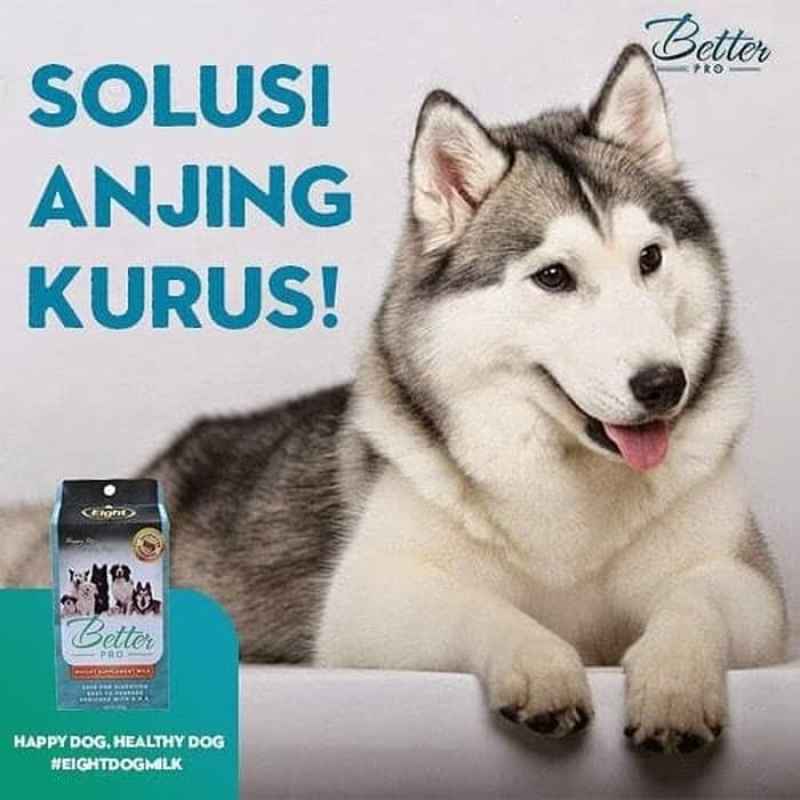 Jual Eight Pm001 Susu Betterpro Better Pro Dog Milk Susu Penggemuk Anjing 300 G Online Januari 2021 Blibli