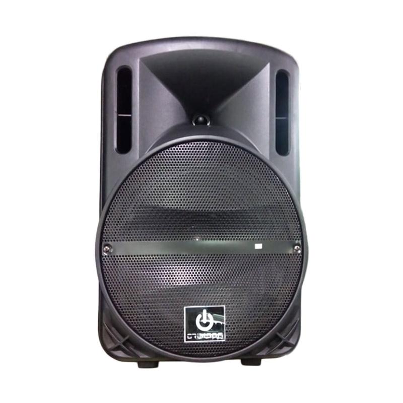 speaker portable 12 inch