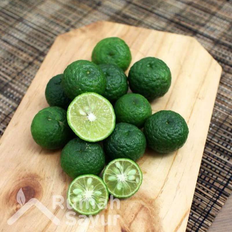 Jual Rumah Sayur Jakarta Selatan Jeruk Limau 250 G Online Oktober 2020 Blibli Com