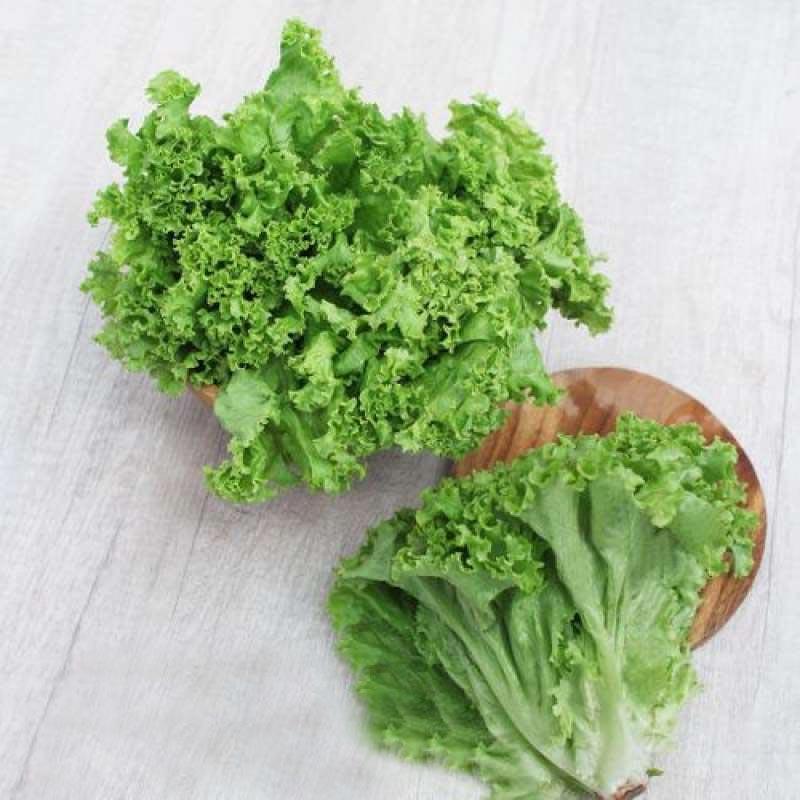 Jual Rumah Sayur Jakarta Utara Selada Keriting Sayuran 250 G Online Agustus 2020 Blibli Com