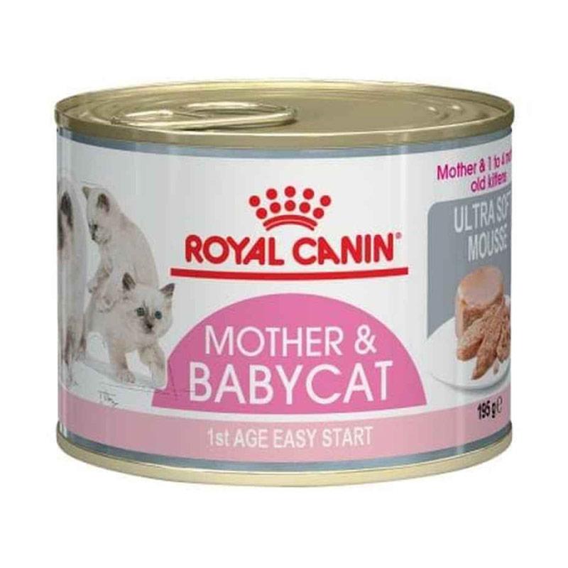 Jual Royal Canin Babycat Instinctive Cat Wetfood Mother And Baby Makanan Kucing 195 G Online Desember 2020 Blibli