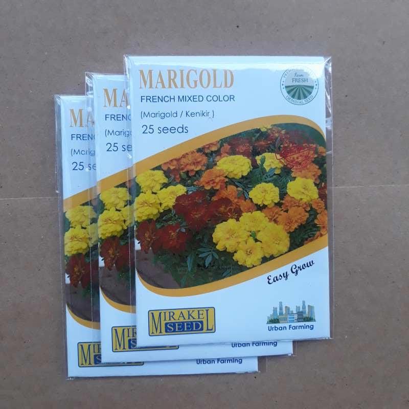 Benih Biji Bunga Marigold Mix Color Isi 25 Biji Mirakel Seed Terbaru Agustus 2021 Harga Murah Kualitas Terjamin Blibli