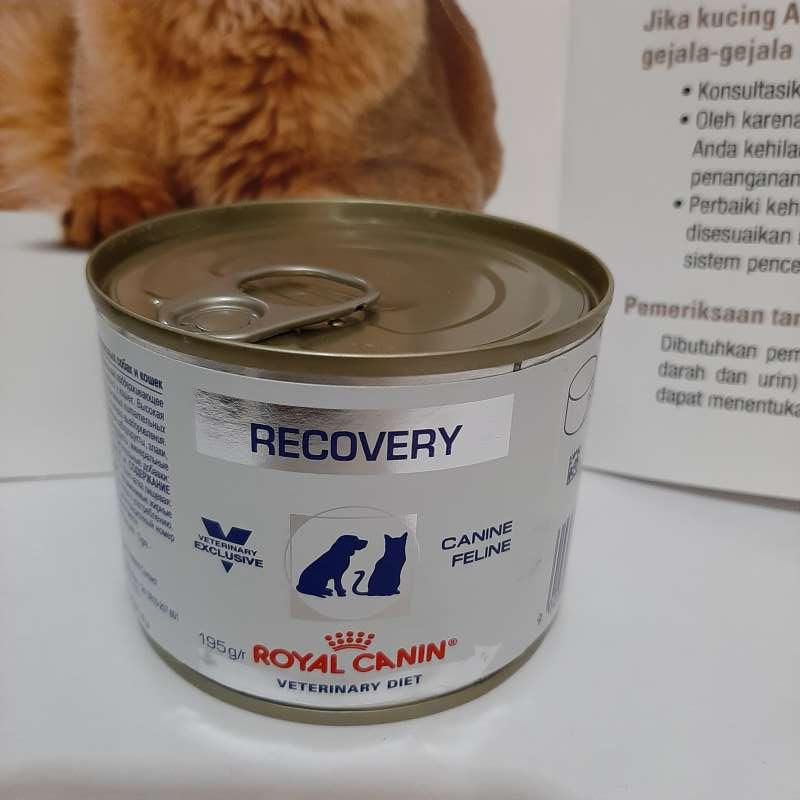 Jual Royal Canin Recovery Makanan Kucing Anjing di Seller amelys