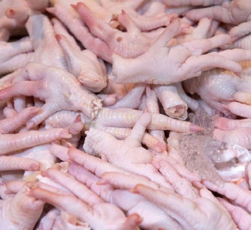 Jual Ceker Ayam Bersih Frozen 1kg 1000 Gr Murah Mei 2021 Jual Ceker Ayam Bersih Frozen 1kg 1000 Gr Murah Mei 2021