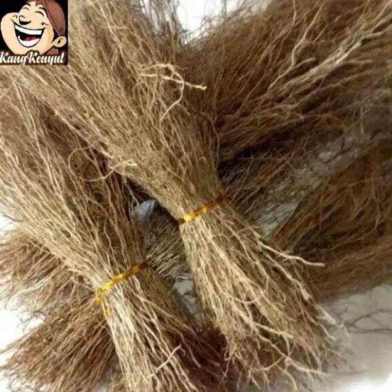 Jual Akar Wangi Super Tanpa Bonggol Kering 1 Ikat 50 Gram Online Oktober 2020 Blibli Com