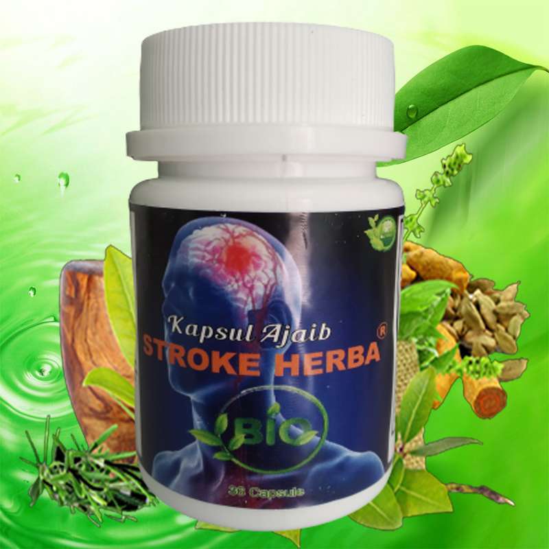 Obat Herbal Stroke Bio Kapsul Ajaib Stroke Herba Terbaru Agustus 2021 Harga Murah Kualitas Terjamin Blibli