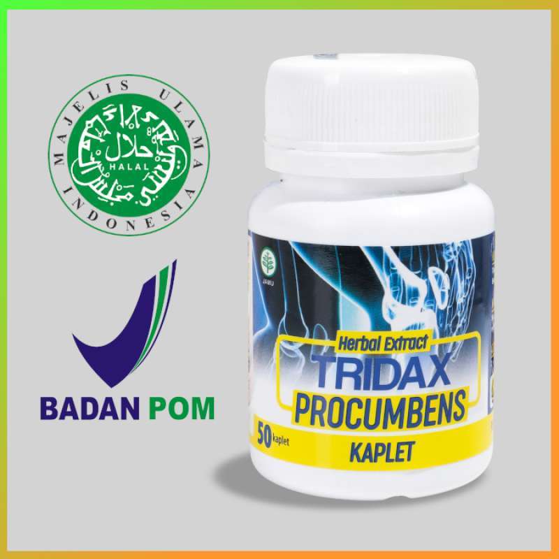 Obat Herbal Obat Asam Urat Tridax Procumbens Original Kaplet Obat Asam Urat Paling Ampuh Di Apotik Herbal Obat Asam Urat Dan Reumatik Obat Nyeri Otot Sendi Tangan Pinggang