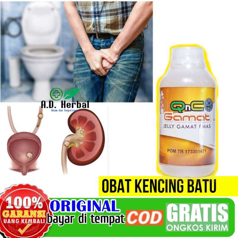 Obat Batu Ginjal Kencing Batu Qnc Jelly Gamat Terbaru Agustus 2021 Harga Murah Kualitas Terjamin Blibli