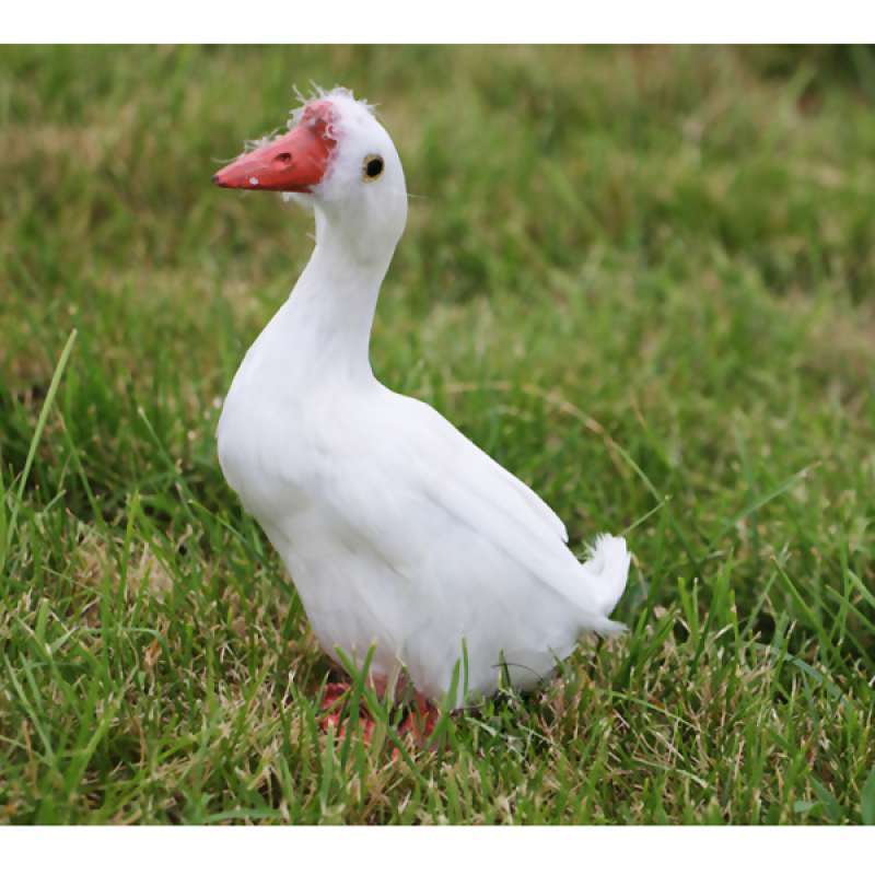 Jual New Artificial Bird Realistic Bird Taxidermy Figurine Garden Lawn Home Decor Online September 2020 Blibli Com