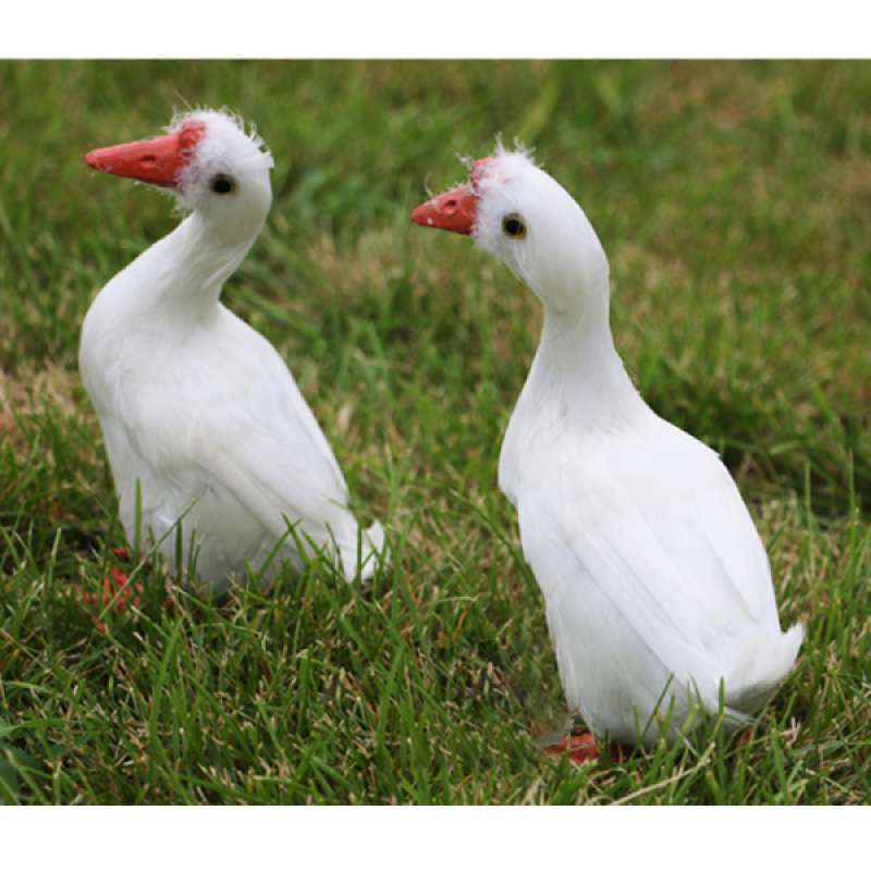 Jual New Artificial Bird Realistic Bird Taxidermy Figurine Garden Lawn Home Decor Online September 2020 Blibli Com