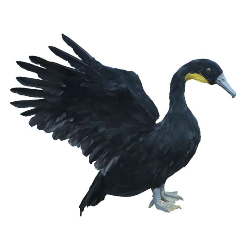 Jual New Artificial Bird Realistic Bird Taxidermy Figurine Garden Lawn Home Decor Online September 2020 Blibli Com