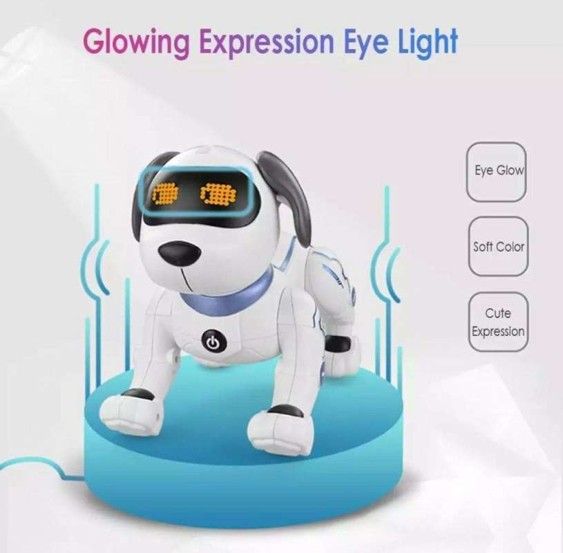 rc robot dog
