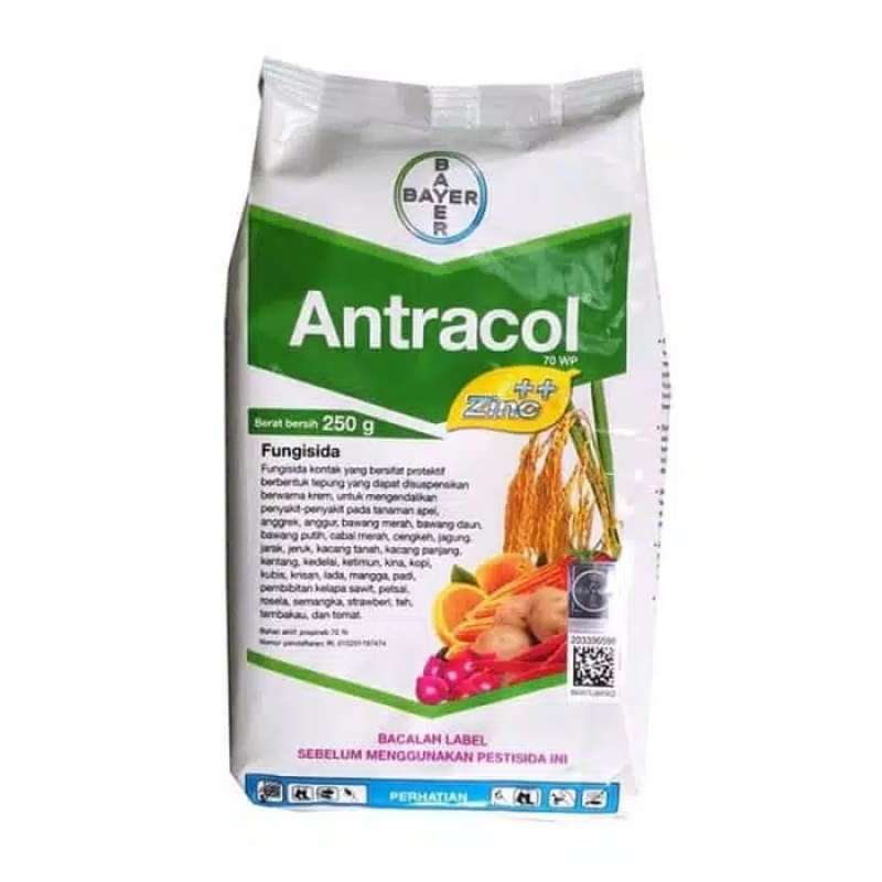 Jual Fungisida Antracol 70 Wp Kemasan 250 Gram Murah Mei 2021 Blibli