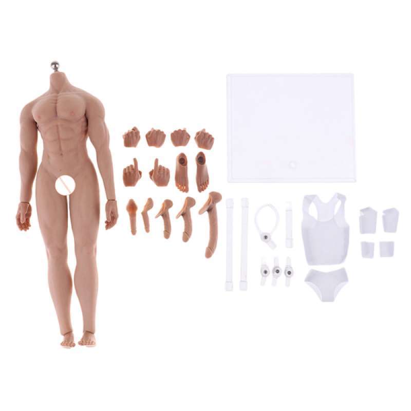 1:6 Scale Male Body Skeleton Action Figure w// Spare Hands for TTM18 TTM19