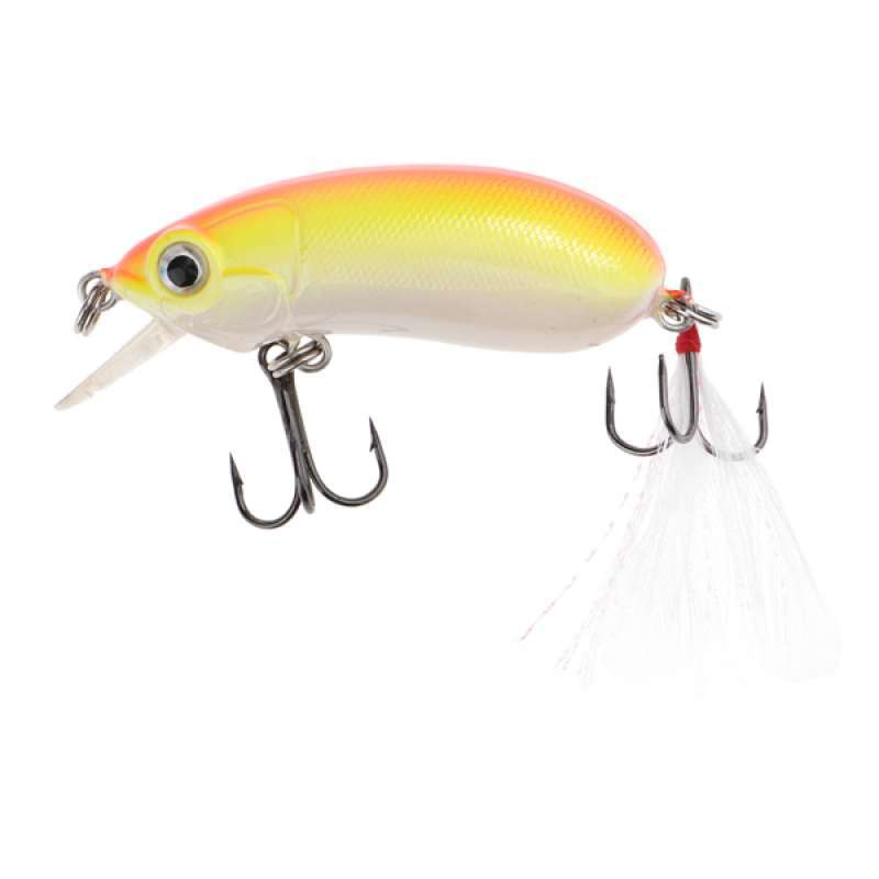 minnow crankbait
