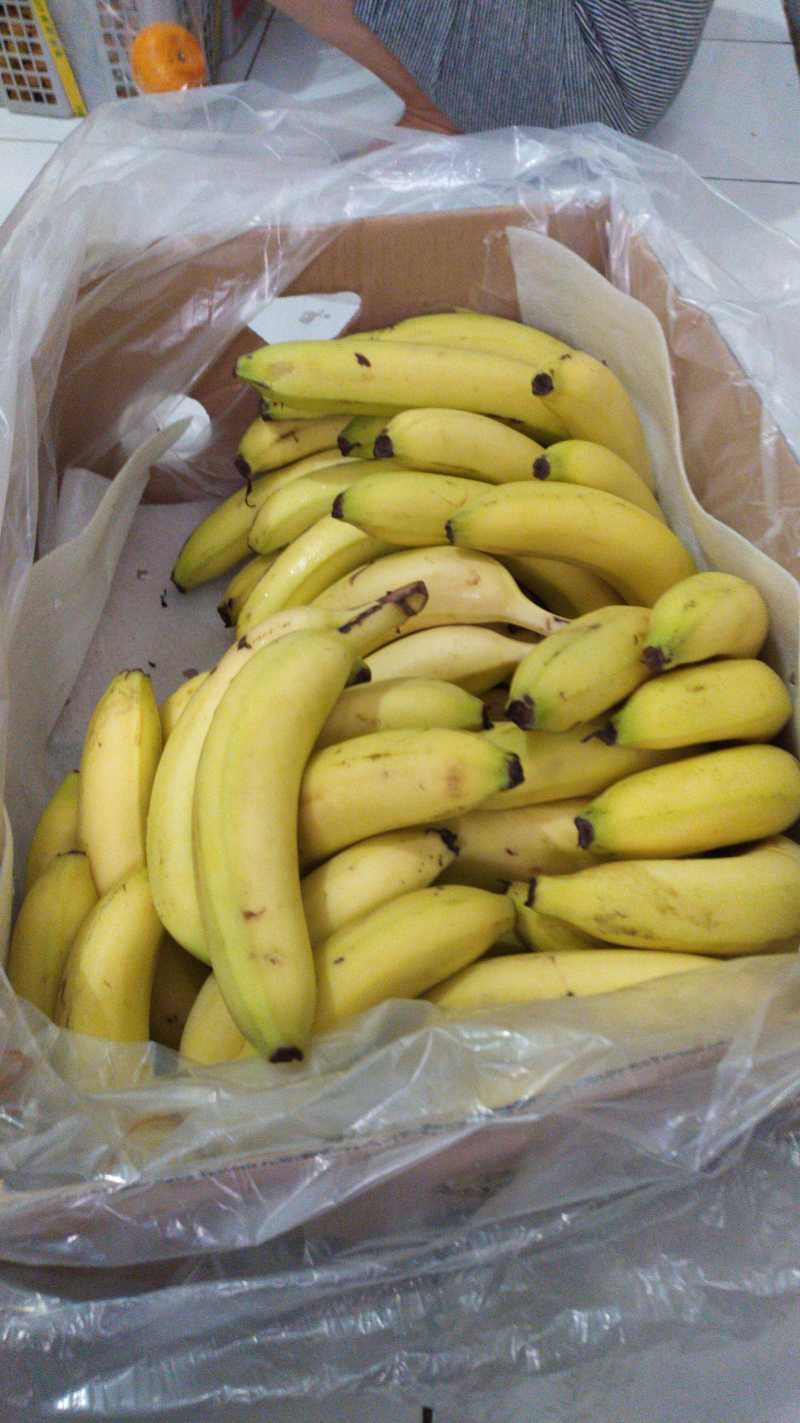Jual Pisang Cavendish Segar Per 500gram Bergaransi Ganti Baru Online November 2020 Blibli Com