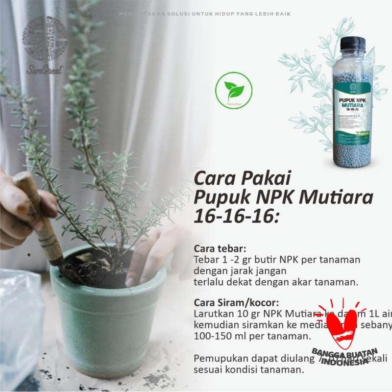 Jual Pupuk Npk Untuk Tanaman Hias Dan Tabulampot 16 16 16 250 Gr Online April 2021 Blibli
