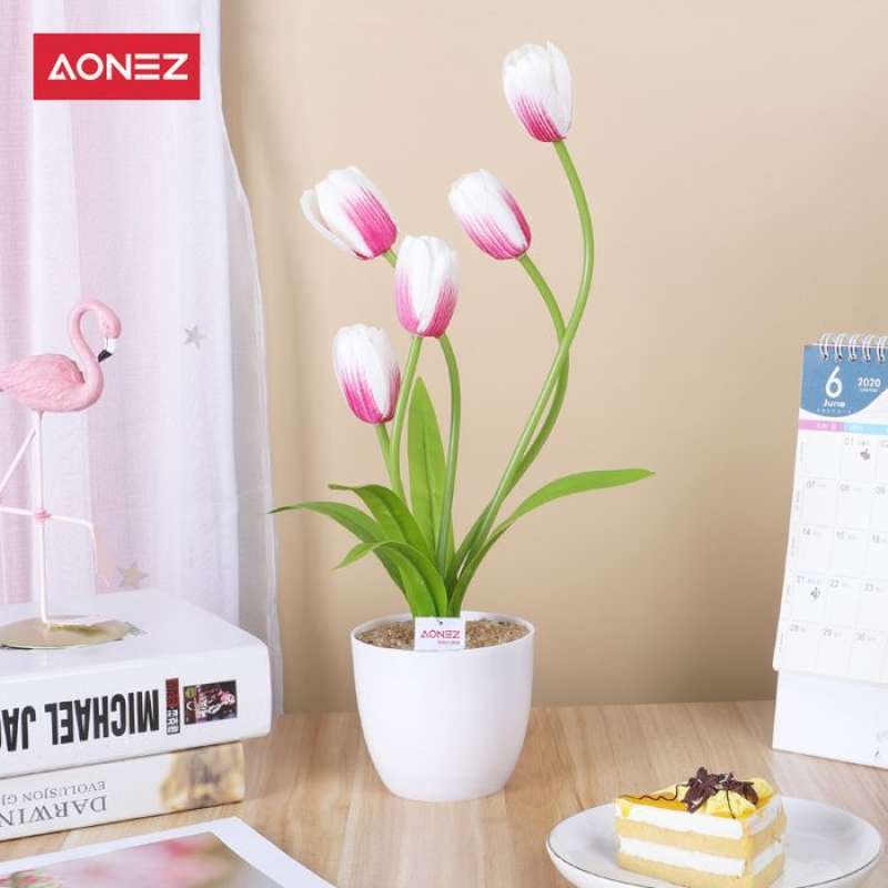 Jual Aonez Bunga Bongsai Tulip Dengan Pot Bunga Plastik Merah Muda Online Februari 2021 Blibli