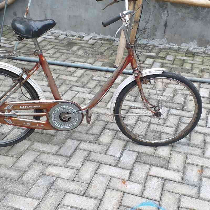 Jual minion hot sale bike