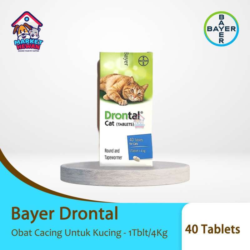 Drontal store untuk kitten