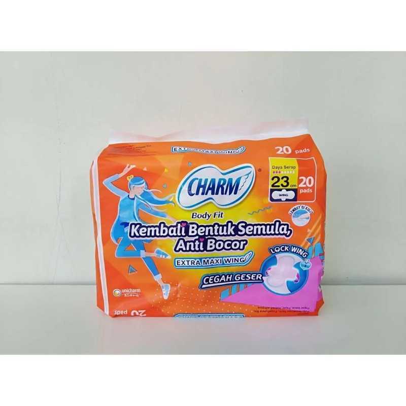 Charm wings sales