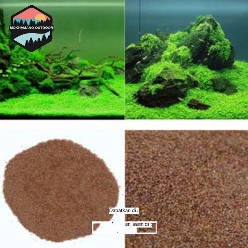 41+ Dekorasi Aquarium Mini Gratis
