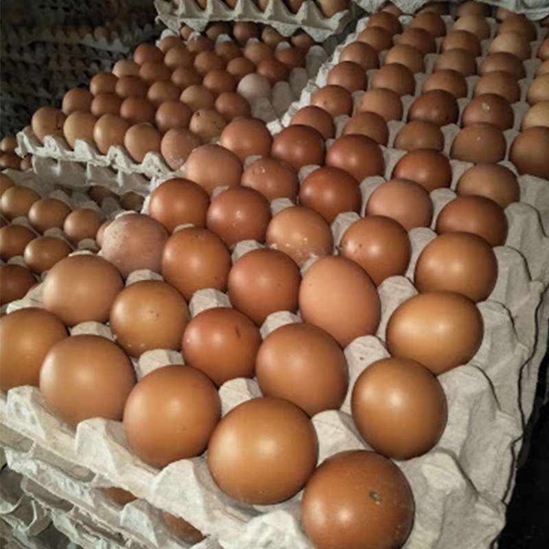 1 Kg Telur Berapa Butir Cara Golden 1 Kg Telur Berapa Butir Cara Golden