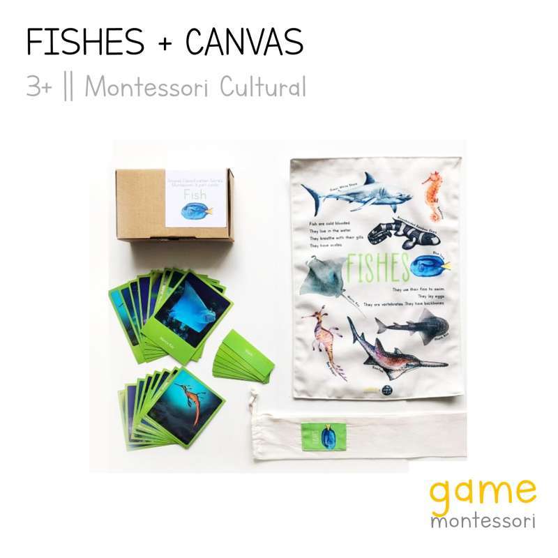 Jual Animal Classification (Fishes A3 Print Only) di Seller GAME Montessori  - GAME GADING SERPONG | Blibli