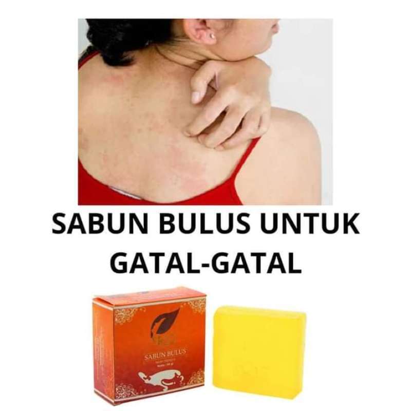 Promo Sabun Viral Sabun Badan Ampuh Atasi Gatal Alergi Biang Keringat Panu Sabun Bulus Sr12 Herbal Bpom Di Seller Sr12 Skincare Herbal Official Kab Bogor Jawa Barat Blibli