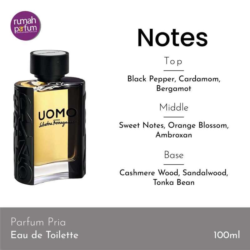 Jual Salvatore Ferragamo Uomo Parfum Pria 100 mL di Seller Rumah