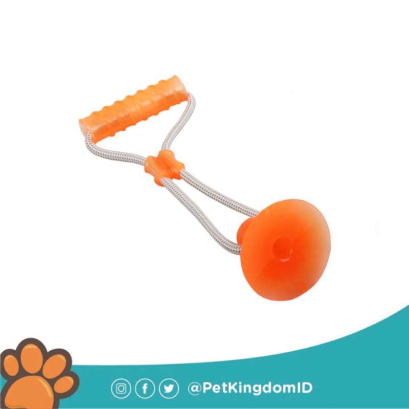 Jual Pawise Dog Toy Suction Dumbbell Di
